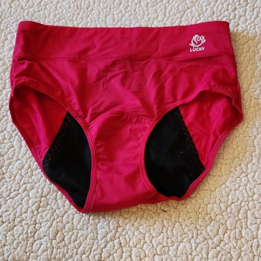 NWOT Lucky Rose Mesh Hip Hugggers High Rise Panties Underwear